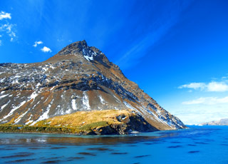 Croisière du sud et les îles sandwich du sud informations sur